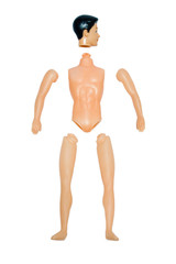 Separated Body Parts Male Doll