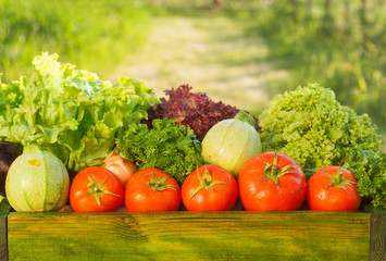 fresh organic vegetables