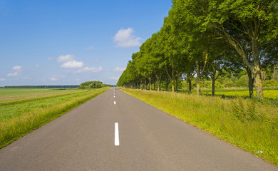 Countryroad through a rural landscape in spring