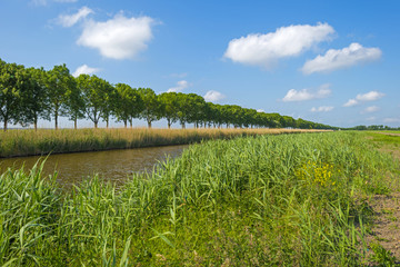 Canal through a rural landscape in spring