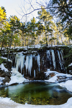 Winter landscape.