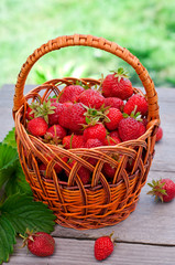 Fototapeta na wymiar Fresh strawberries in a basket on a table in the garden