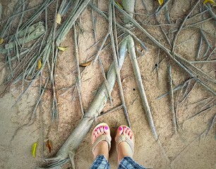 feet on 100years root. 