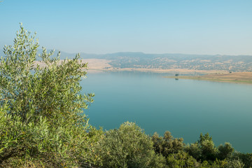Naklejka premium Andalusian landscape