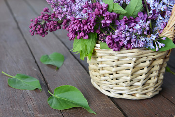 basket with  branch of lilac