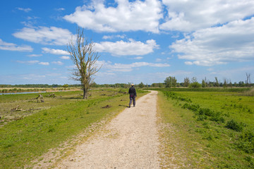 Woman walking through nature in spring