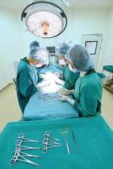 group of veterinarian surgery in operation room