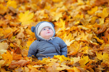 Little baby in the autumn