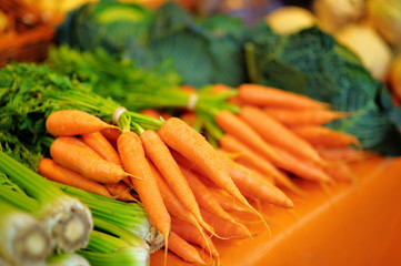 Fresh healthy bio fennel and carrots