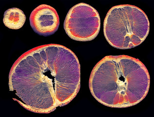 Colored slices of orange on a black background arranged according to the diameter © EurekA_89 Gervasio S