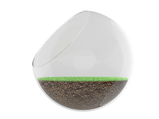 3d Air plant terrarium