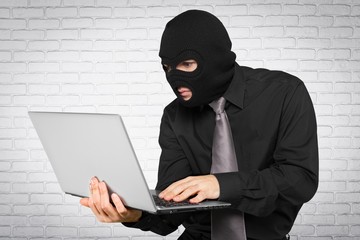 Thief, Computer Hacker, Security.