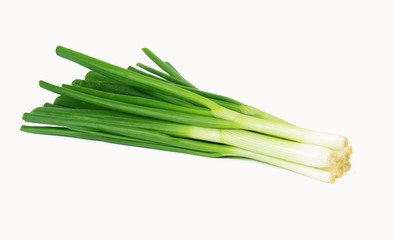 frischer Lauchzwiebel auf wei&szlig;em Hintergrund