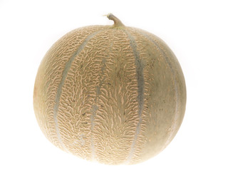 cantaloupe