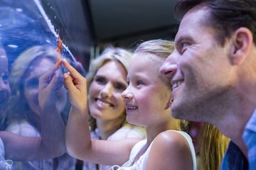 Daughter touching a starfish tank 