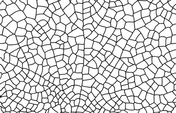 Seamless Reticular Pattern