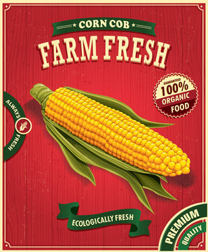 Vintage Farm Fresh Corn Poster Design