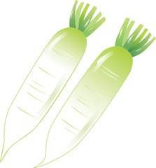 大根イラスト