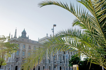 Palmen und Architektur/Blick durch eine Palme auf den Justizpalast in München in Bayern, Gebäude...