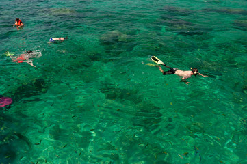 Tourists snorkeling at Phi Phi islands, Thailand