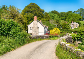 Country Lane in Cornwall