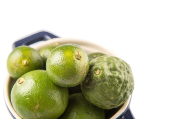 Lime, makrut or kaffir lime and calamansi in blue pot 
