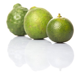 Lime, makrut or kaffir lime and calamansi over white background - 84896790