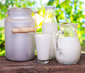 Milk in various dishes.