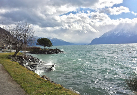 Genfer See bei Vevey