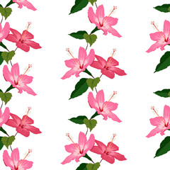 Seamless pattern with hand drawn hibiscus flowers 
