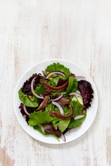 salad with anchovies and onion on white plate on white background