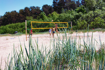 Fototapeta premium Play volleyball on the beach dunes summer