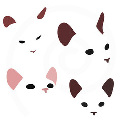 cat faces isolated on white background