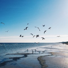 Morning on the beach