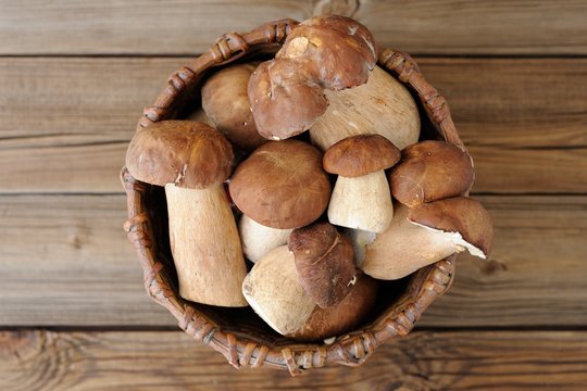 Wild porcini mushrooms in handmade wicker basket on wooden backg