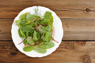 Salad of fresh chard leaves in white plate on wooden background