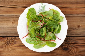 Salad of fress chard with dill in white plate oiled