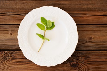 One shoot of fresh wild mint on white plate on wooden background