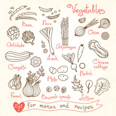 Set drawings of vegetables for design menus, recipes and
