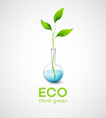 Twig in the flask. Vector illustration of ecological.