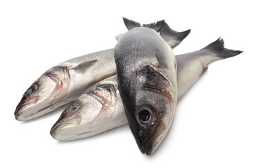 Fresh seabass