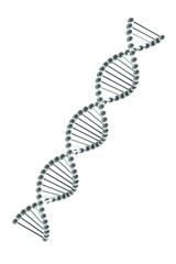 3d render of Dna Helix