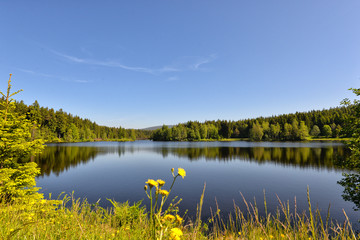 Fichtelsee Fichtelgebirge Bayern