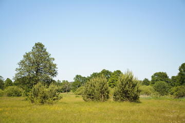 Fototapeta premium landscape and blue sky