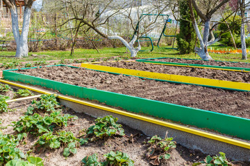 Seedbed on the Household plot. Agriculture. Russia