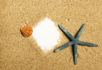 Fototapeta na wymiar Starfish and sheet of paper with sand