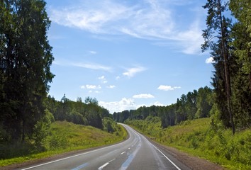 Fototapeta na wymiar Forest Highway