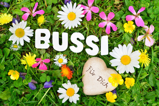 439 Best Bussi Images Stock Photos Vectors Adobe Stock