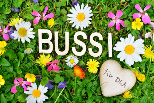 Bussi Buchstaben auf Blumenwiese