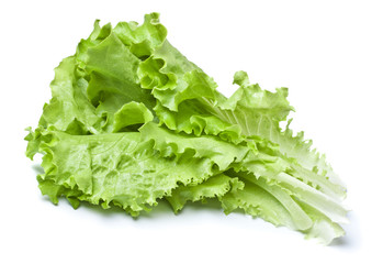 Green Lettuce